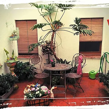 Miami Hotel